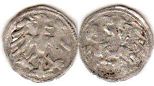 coin Lithuania denar no date (1492–1506)